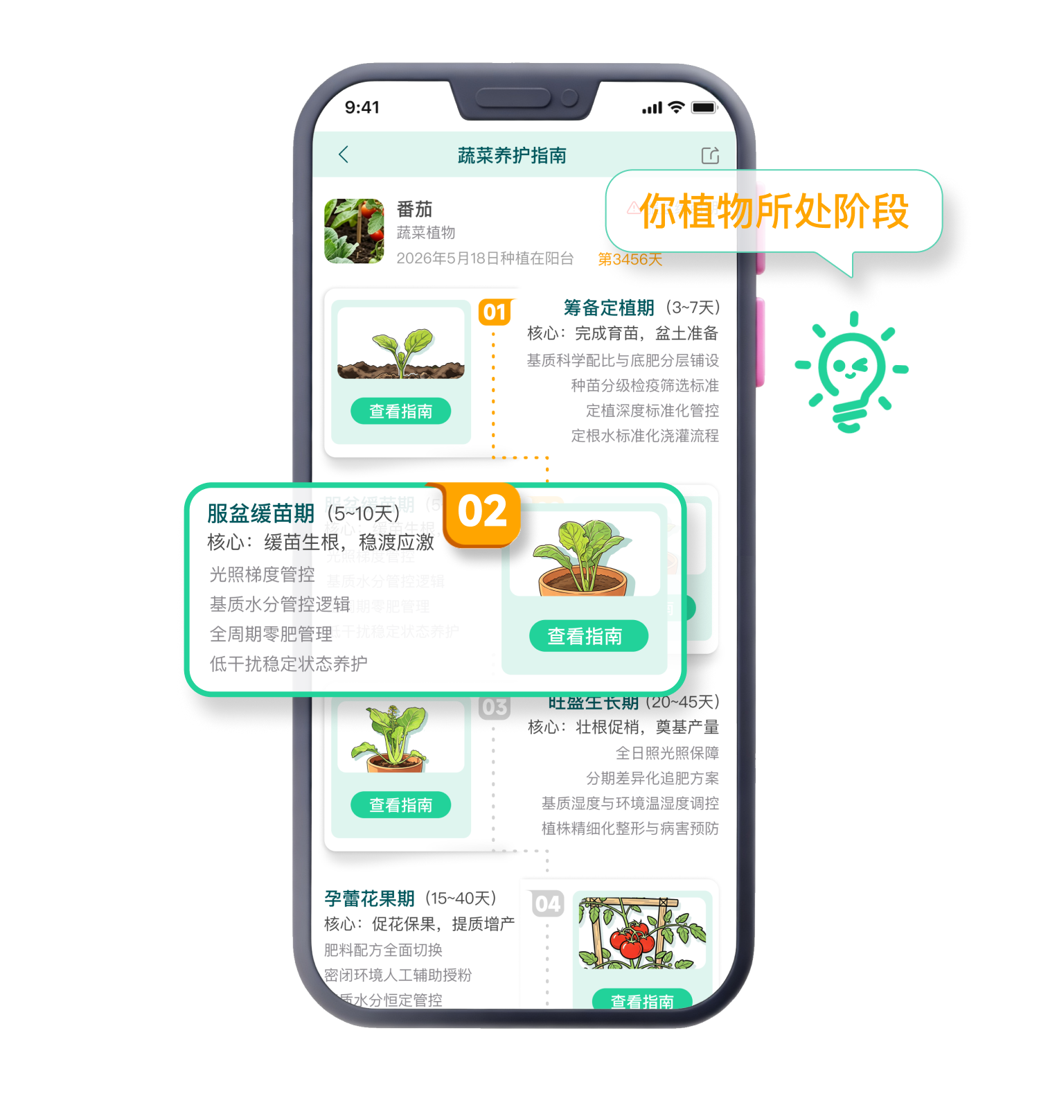 养护指南