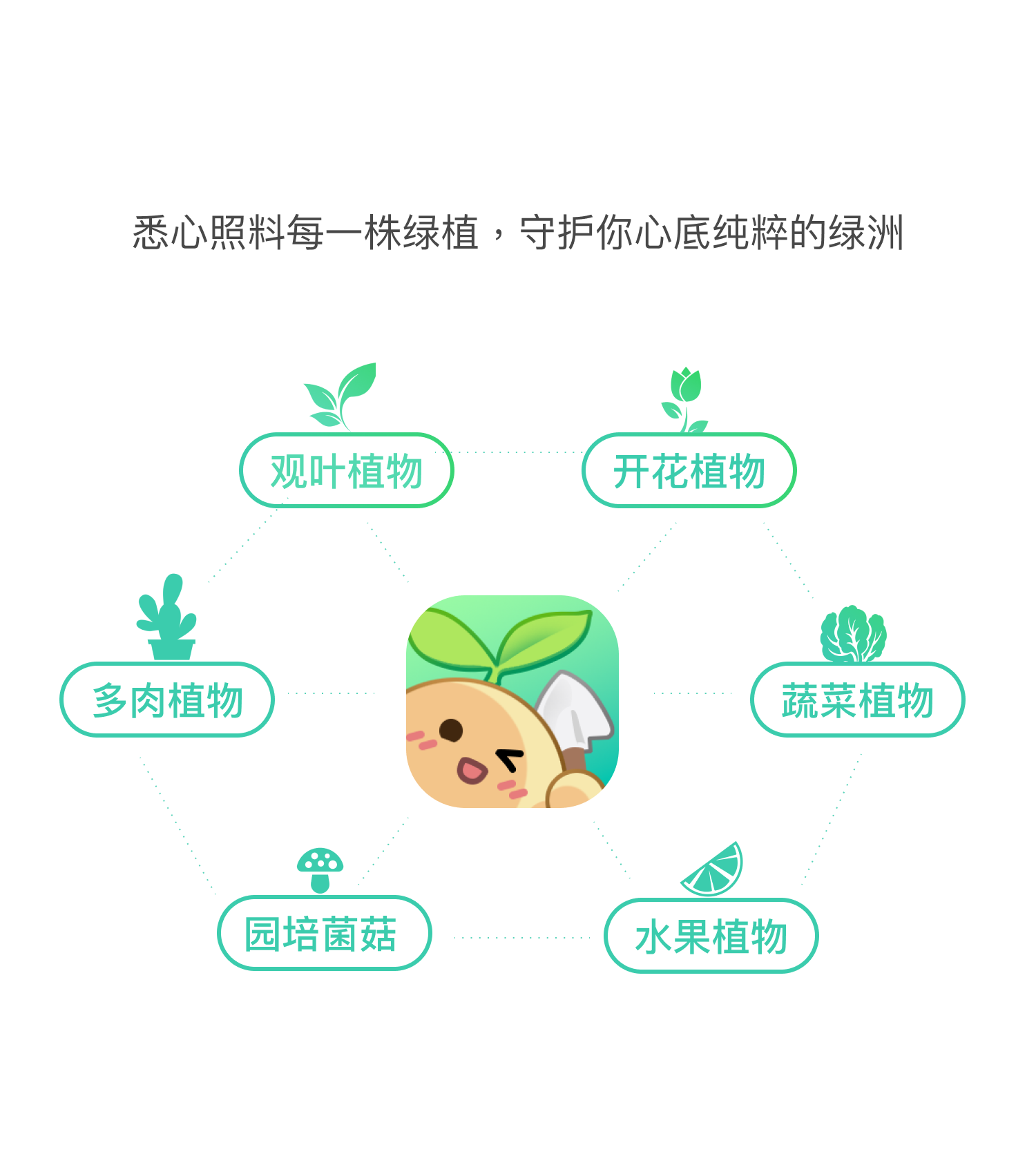 悉心照料每一株绿植
